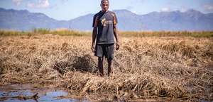 Ein malawischer Kleinbauer steht in einem überschwemmten Feld und blickt in die Kamera.