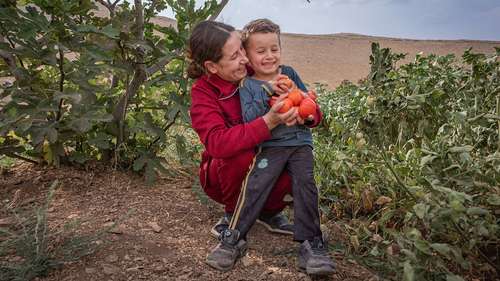 Evin, 23, erntet mit ihrem kleinen Sohn selbst angebaute Tomaten im Irak