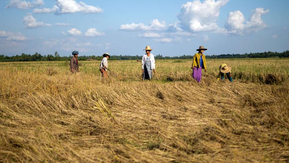 Feldarbeit in Myanmar