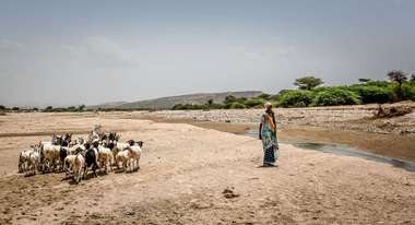 A woman with her goats at a nearly dried-up watercourse in Somaliland